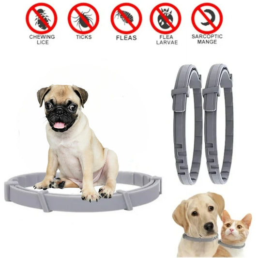 GlamGuard®🐶 Collar antipulgas y garrapatas