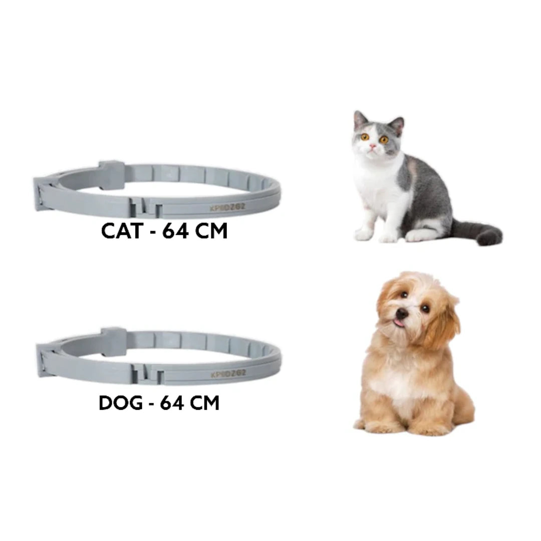 GlamGuard®🐶 Collar antipulgas y garrapatas